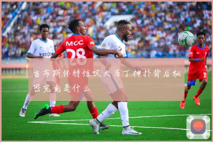 吉布斯怀特惊叹大马丁神扑背后秘密究竟是什么